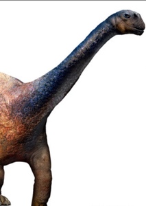 Amygdalodon