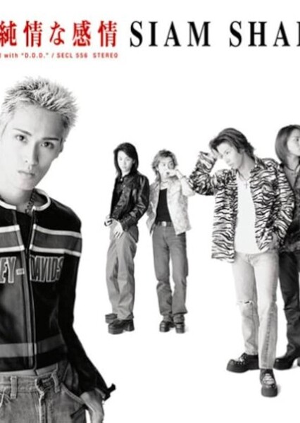 1/3 no Junjou na Kanjou
