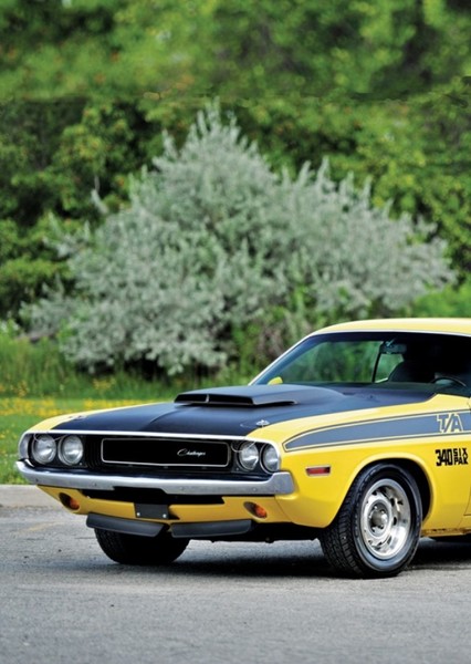 1970 Dodge Challenger T/A photo