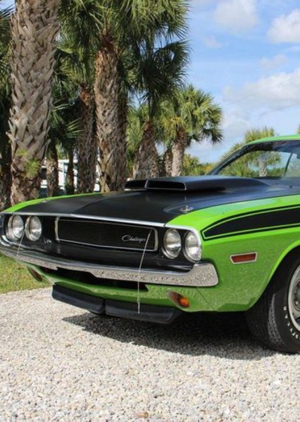 1970 Dodge Challenger T/A photo