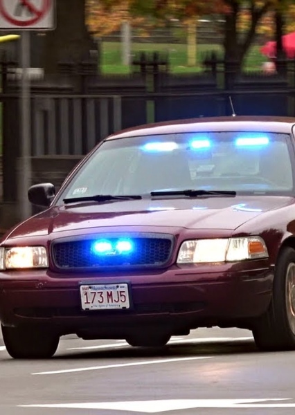 2010 Ford Crown Victoria (Police Interceptor) photo