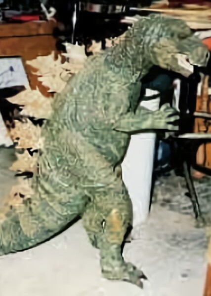 3DGoji photo