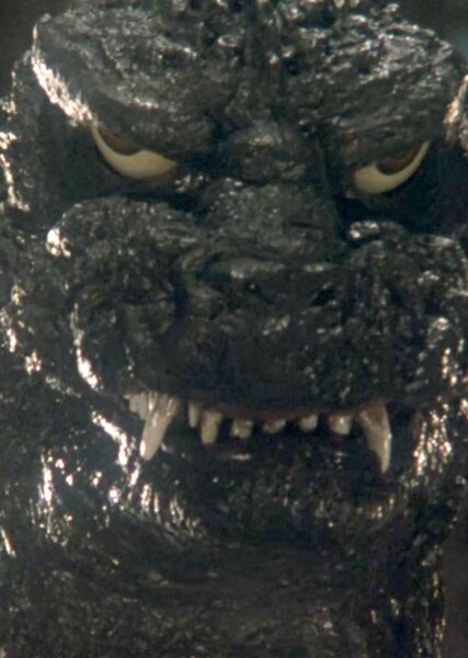 84Goji photo