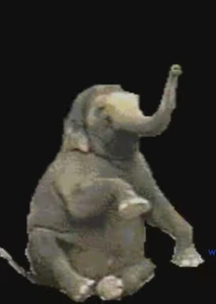 A1 Free Sound Effects, elephant2