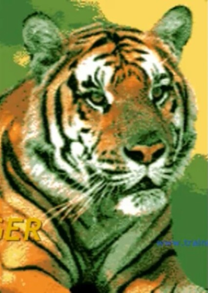 A1 Free Sound Effects, lion2