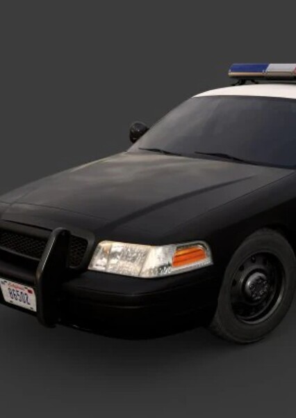 Police Car