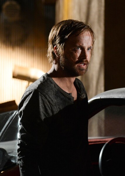 Aaron Paul photo