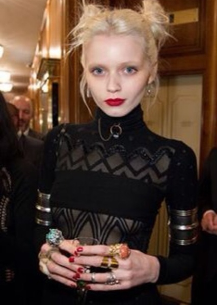 Abbey Lee photo