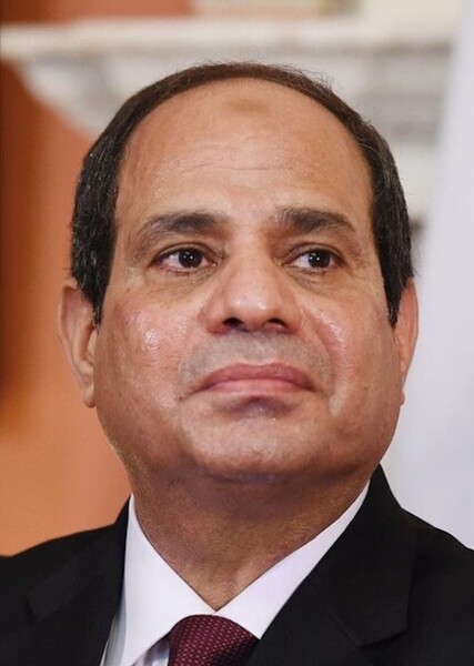Abdel Fattah el-Sisi photo