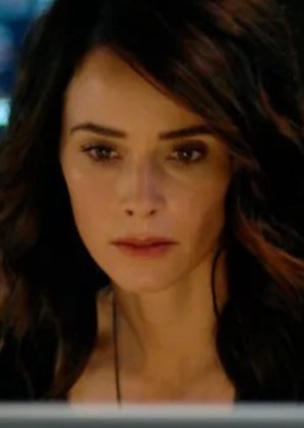 Abigail Spencer photo