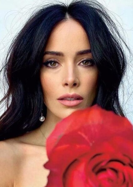 Abigail Spencer photo