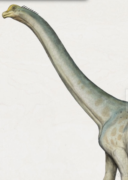 Abydosaurus photo