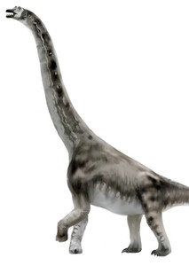 Photos of Abydosaurus on myCast Fan Casting Your Favorite Stories