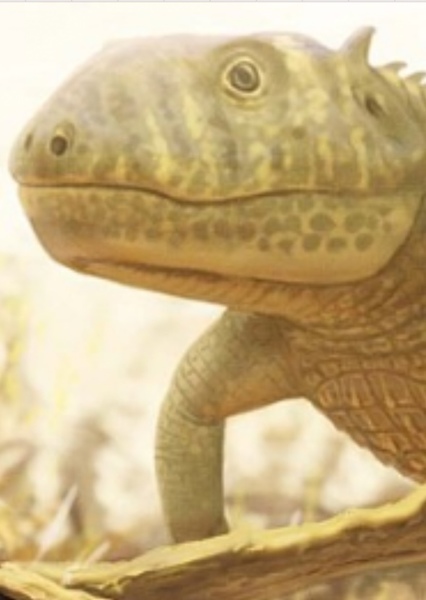 Acaenasuchus