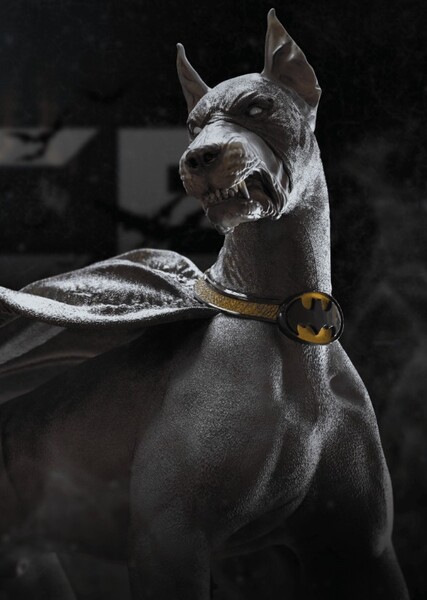 Ace the Bat-Hound
