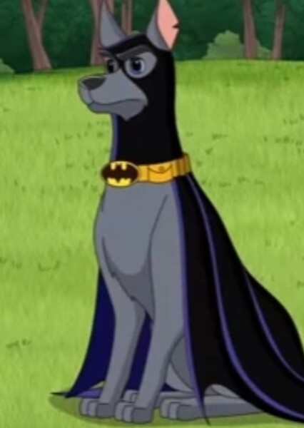 Ace the Bat Hound photo