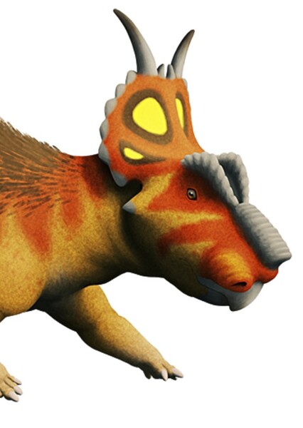 Achelousaurus photo