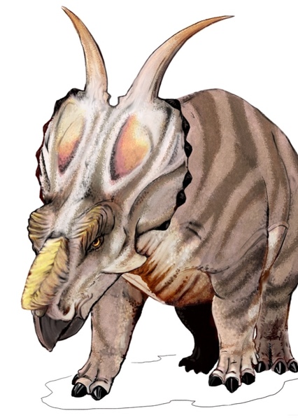 Achelousaurus photo