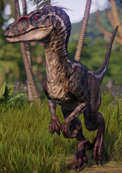 Achillobator photo