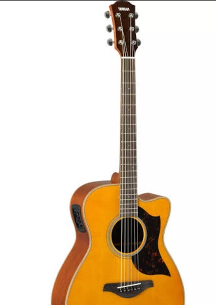Acoustic-Electric Guitar
