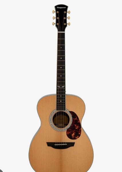 String Instruments