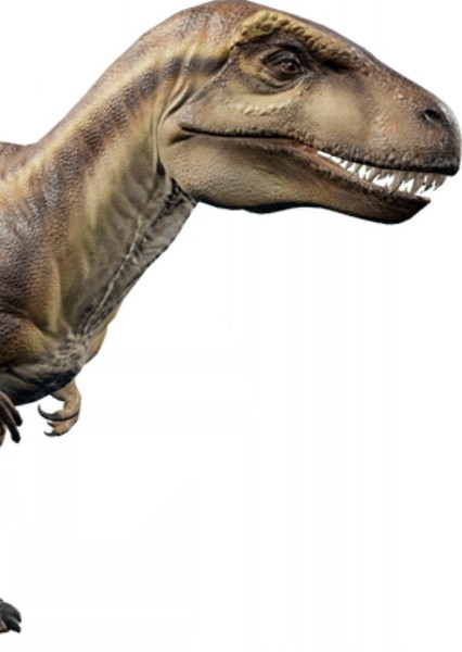 Acrocanthosaurus photo