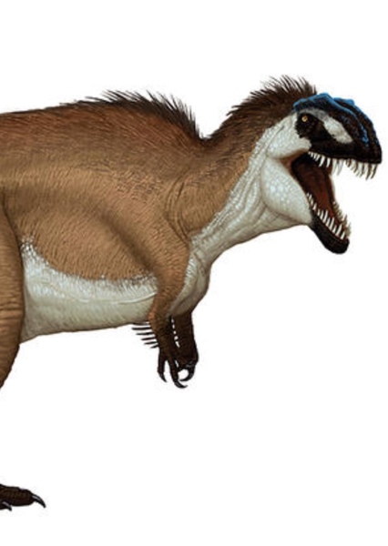 Acrocanthosaurus photo