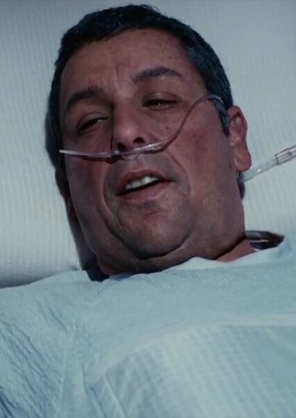 Adam Sandler photo