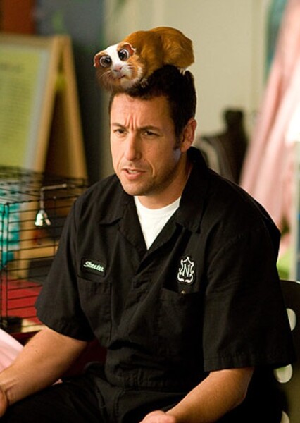 Adam Sandler photo