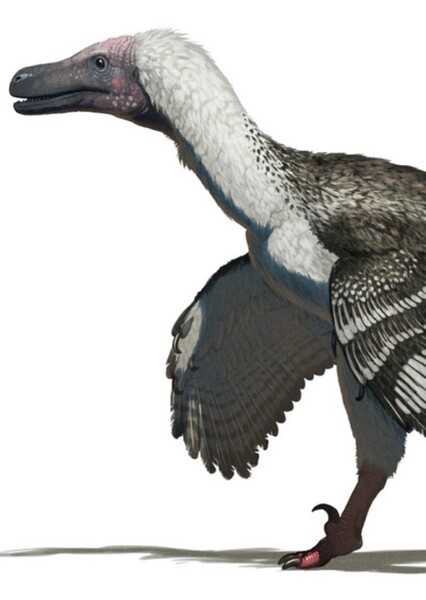 Adasaurus photo