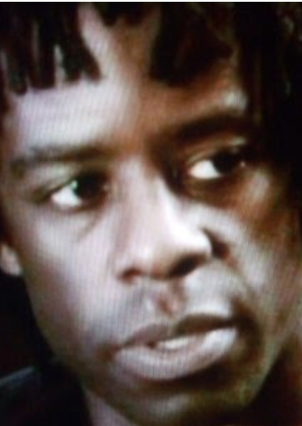 Adrian Lester photo
