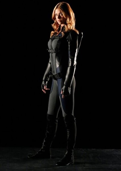 Adrianne Palicki
