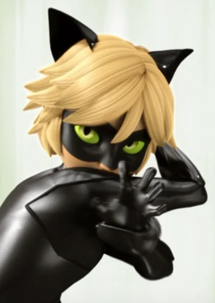 Cat Noir (Adrien Agreste) photo