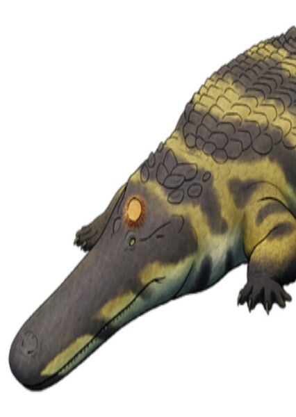 Aegisuchus