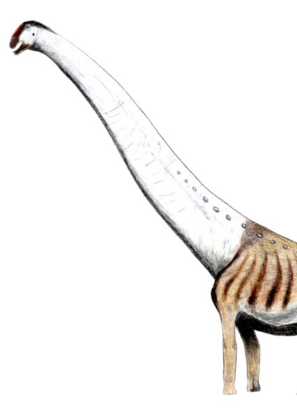 Aegyptosaurus