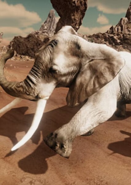 African Elephant photo