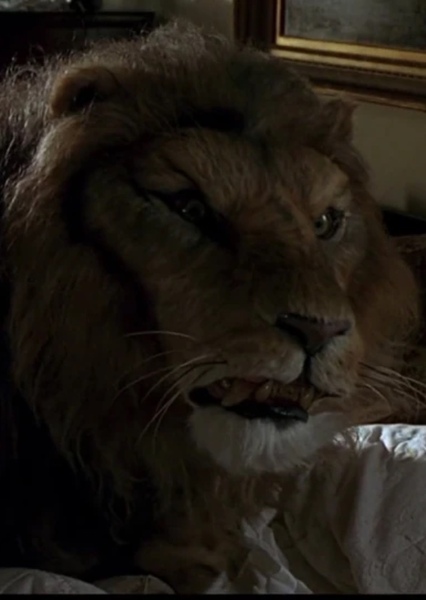 African Lion photo