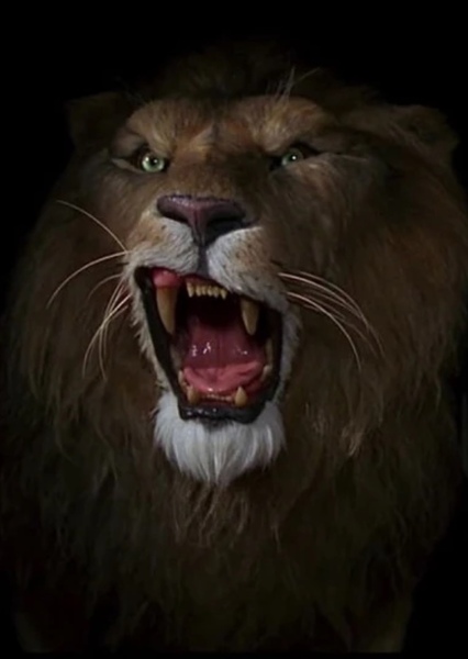 African Lion