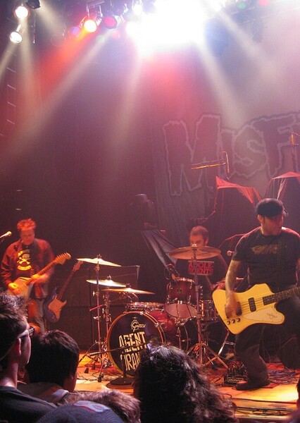 Agent Orange (band)