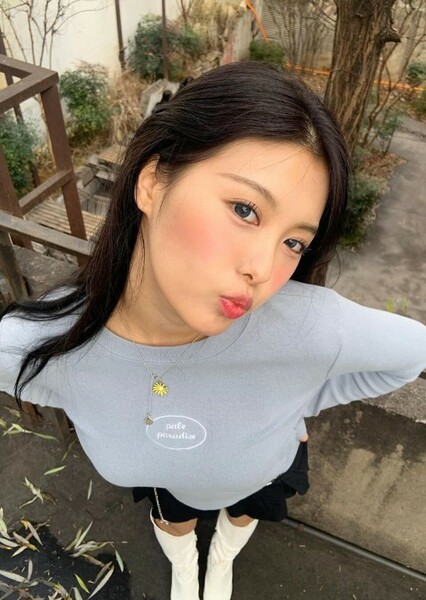 Ahin photo