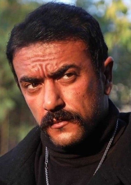 Ahmed Elawady photo