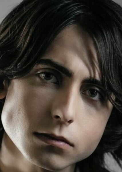 Aidan Gallagher photo