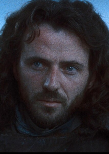 Aidan Quinn photo