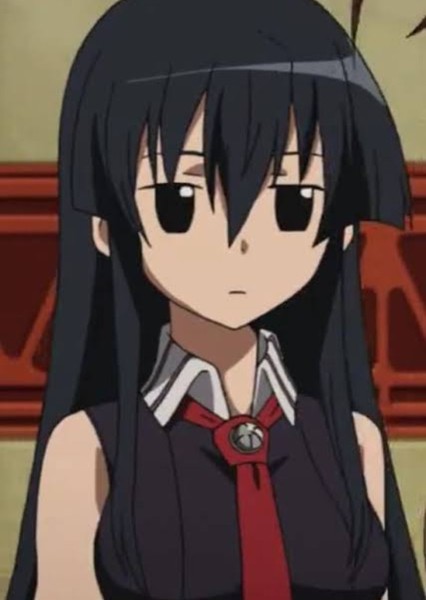 Akame (Akame ga Kill!) photo