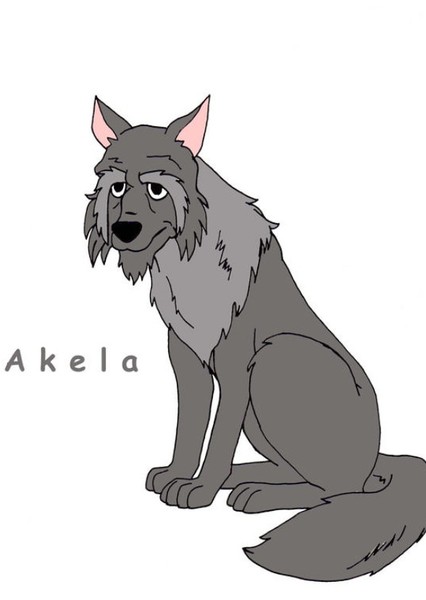 Akela photo