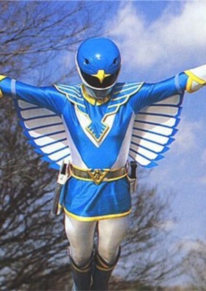 Ako Hayasaka/Blue Swallow photo