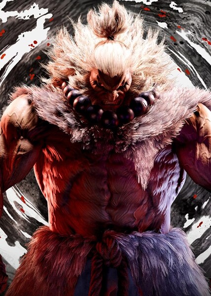Akuma (Street Fighter) photo