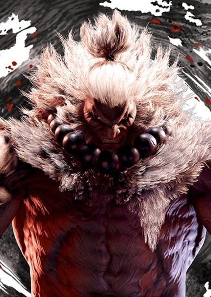 Akuma (Street Fighter) photo