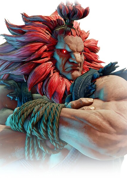 Akuma (Street Fighter) photo