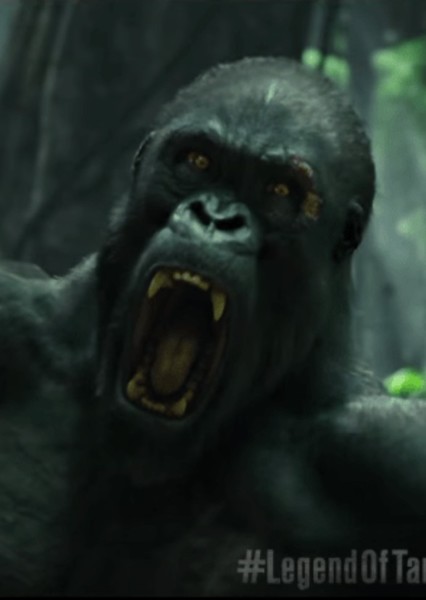 Akut (The Legend of Tarzan) photo